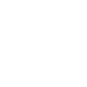 elfly logo